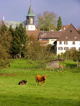 Andelshofen